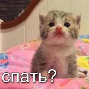 Люлик 4 — стикер для MAX