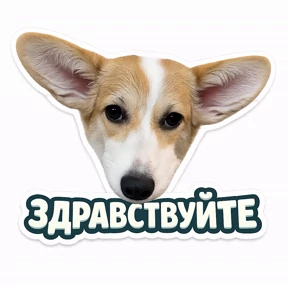Пупупу — стикер для MAX