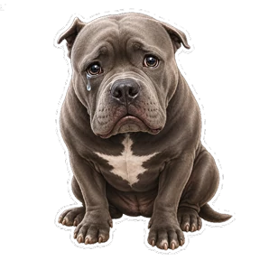 Балу — стикер для MAX