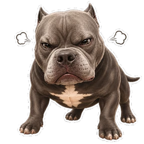 Балу — стикер для MAX
