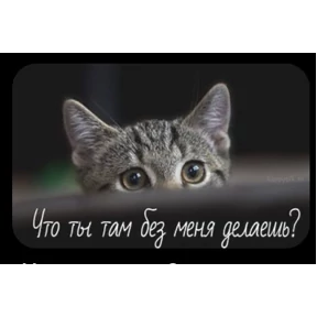 Для него — стикер для MAX