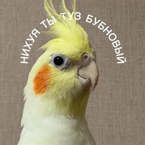 Стикер 25 из набора Ыы