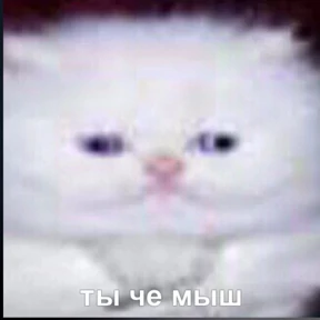 КСЮ — стикер для MAX