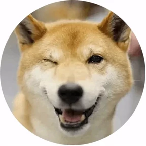 КСЮ — стикер для MAX