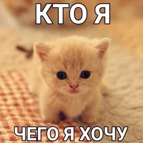 Люлик 4 — стикер для MAX