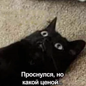 Люлик 4 — стикер для MAX