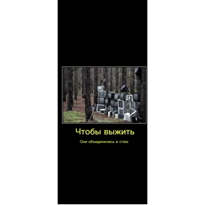 Якубовичь — стикер для MAX