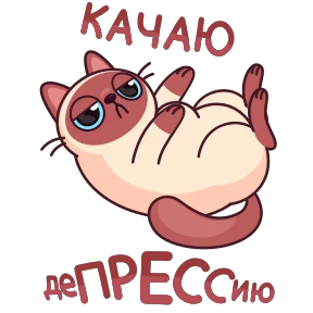 Стикер 1 из набора Котик Веня