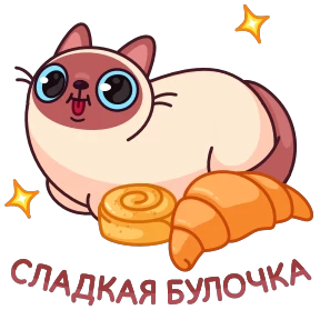 Стикер 6 из набора Котик Веня
