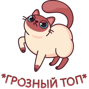 Стикер 8 из набора Котик Веня