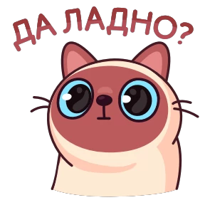 Стикер 10 из набора Котик Веня