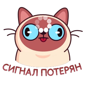 Стикер 12 из набора Котик Веня