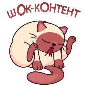 Стикер 13 из набора Котик Веня