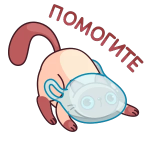 Стикер 16 из набора Котик Веня