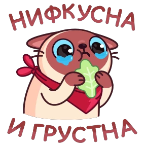 Стикер 15 из набора Котик Веня