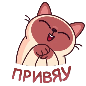 Стикер 18 из набора Котик Веня