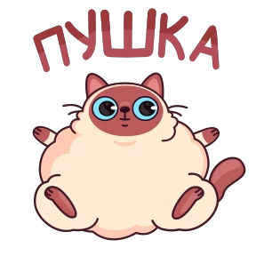 Стикер 26 из набора Котик Веня