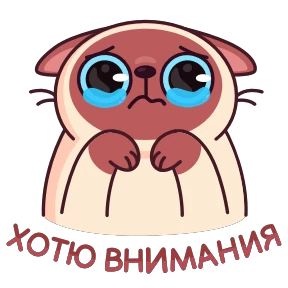 Стикер 29 из набора Котик Веня