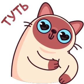 Стикер 35 из набора Котик Веня