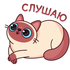 Стикер 39 из набора Котик Веня