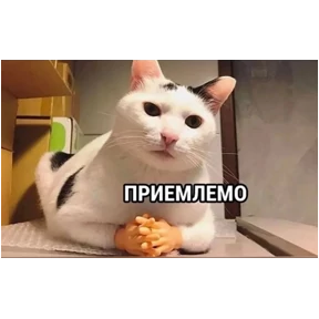 Топ подборка — стикер для MAX