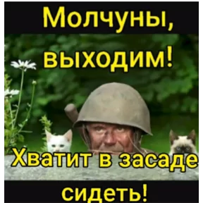 Стикер