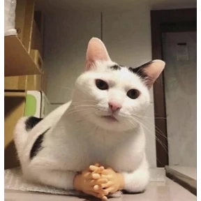 Мы — стикер для MAX