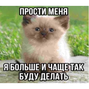 Мем — стикер для MAX