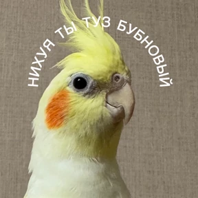 Стикер 71 из набора На случае важных переговоров