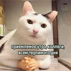Стикер 77 из набора На случае важных переговоров