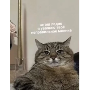 Стикер 79 из набора На случае важных переговоров