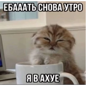 Мем — стикер для MAX