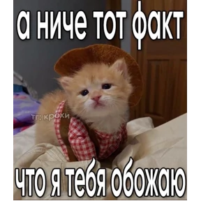 Мем — стикер для MAX