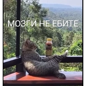 Стикер 43 из набора Пупу