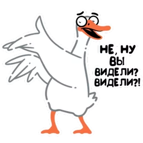 Стикер