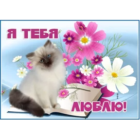 Стикер