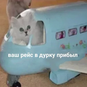 Стикер 53 из набора Люлик 4