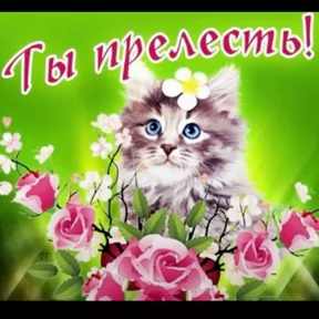 Стикер из сообщения канала