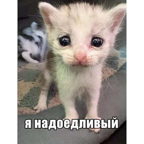 Стикер 69 из набора Нормальные стикеры в MAX