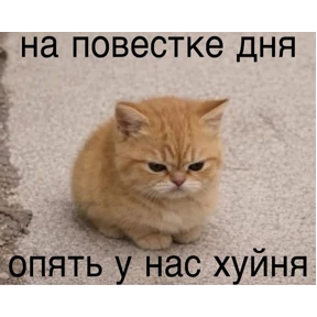 Стикер 70 из набора Нормальные стикеры в MAX