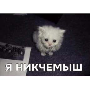 Стикер 73 из набора Нормальные стикеры в MAX