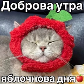 Стикер 17 из набора Доброва утра