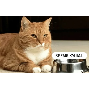 Стикер 38 из набора Стикерпук