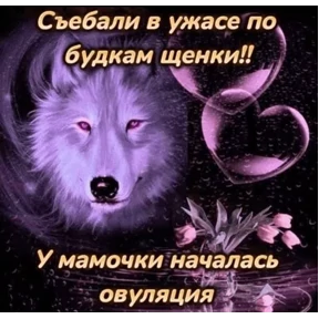 Стикер 46 из набора Slay
