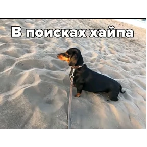 Стикер 74 из набора Mega ultra