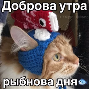 Стикер 18 из набора Доброва утра