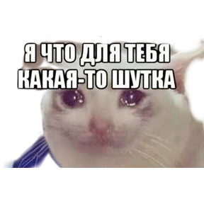 Стикер 27 из набора Болталка