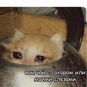 Стикер 21 из набора кисы