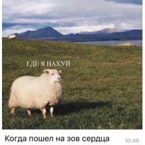 Стикер 74 из набора Добрые люди