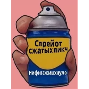Фото — 2 августа 2026 г. в 06:06:51.898